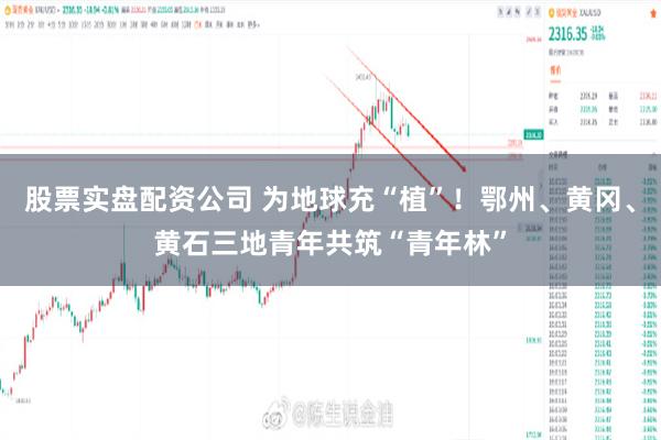 股票实盘配资公司 为地球充“植”！鄂州、黄冈、黄石三地青年共筑“青年林”