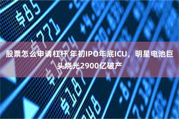 股票怎么申请杠杆 年初IPO年底ICU，明星电池巨头烧光2900亿破产