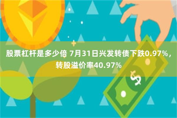 股票杠杆是多少倍 7月31日兴发转债下跌0.97%，转股溢价率40.97%