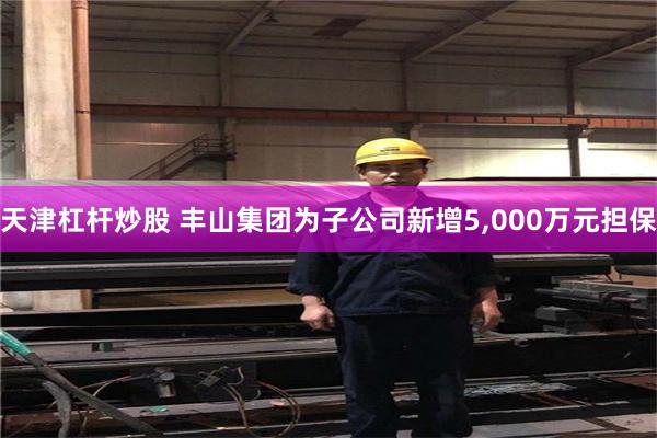 天津杠杆炒股 丰山集团为子公司新增5,000万元担保