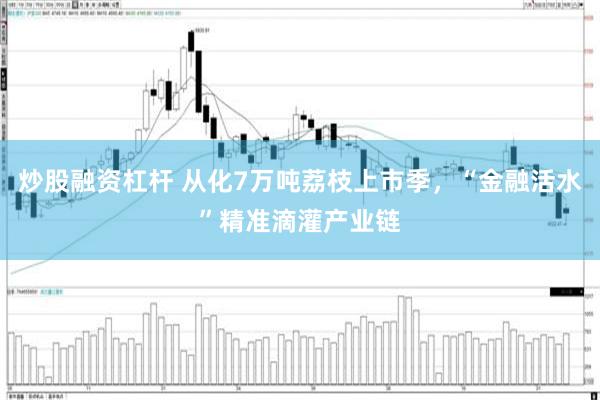 炒股融资杠杆 从化7万吨荔枝上市季，“金融活水”精准滴灌产业链