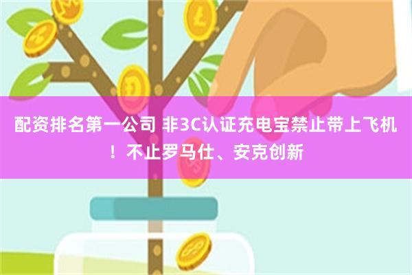 配资排名第一公司 非3C认证充电宝禁止带上飞机！不止罗马仕、安克创新