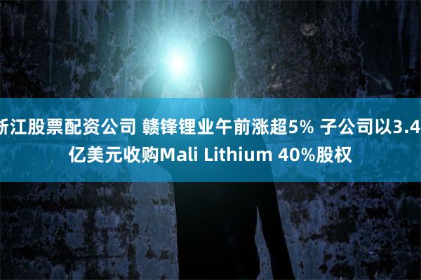 浙江股票配资公司 赣锋锂业午前涨超5% 子公司以3.43亿美元收购Mali Lithium 40%股权