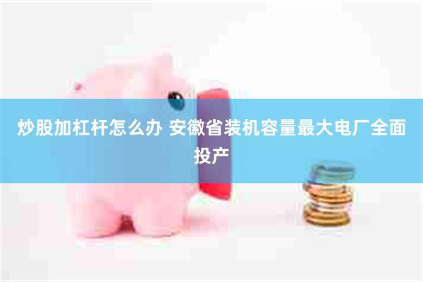 炒股加杠杆怎么办 安徽省装机容量最大电厂全面投产