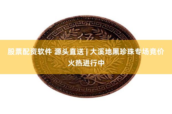股票配资软件 源头直送 | 大溪地黑珍珠专场竞价火热进行中