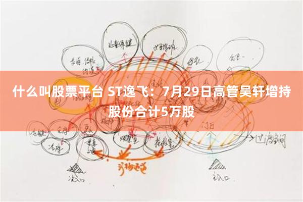 什么叫股票平台 ST逸飞：7月29日高管吴轩增持股份合计5万股