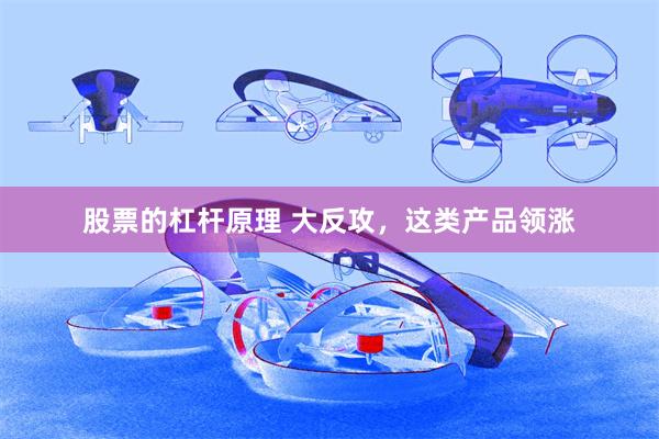 股票的杠杆原理 大反攻，这类产品领涨