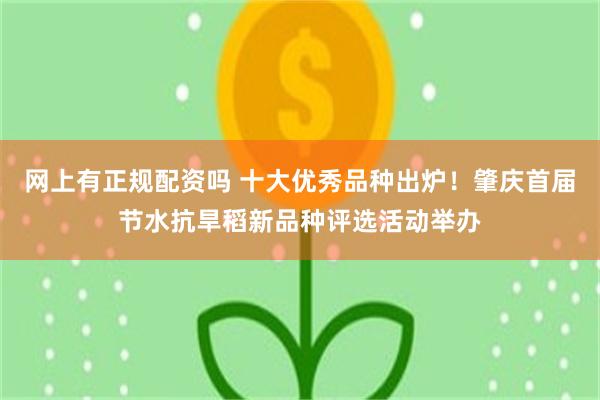 网上有正规配资吗 十大优秀品种出炉！肇庆首届节水抗旱稻新品种评选活动举办