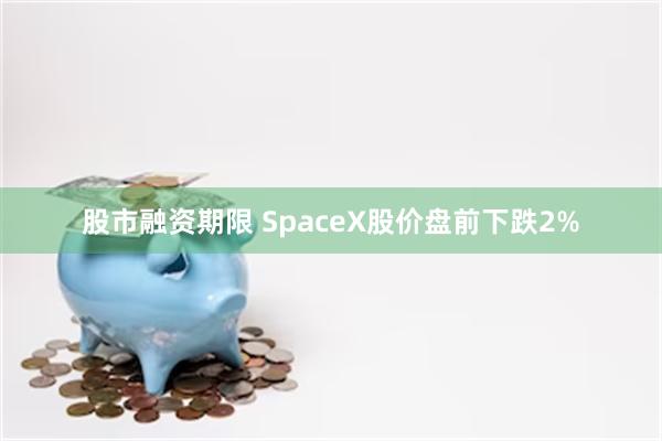 股市融资期限 SpaceX股价盘前下跌2%