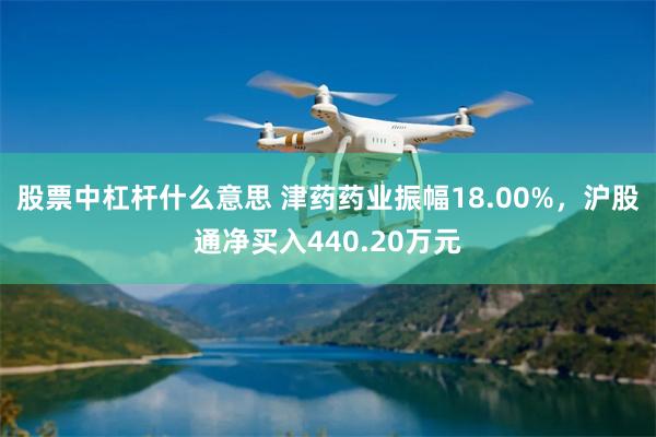 股票中杠杆什么意思 津药药业振幅18.00%,沪股通净买入440.20万元