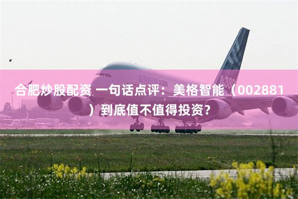 合肥炒股配资 一句话点评:美格智能(002881)到底值不值得投资?