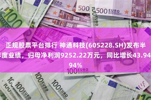 正规股票平台排行 神通科技(605228.SH)发布半年度业绩，归母净利润9252.22万元，同比增长43.94%