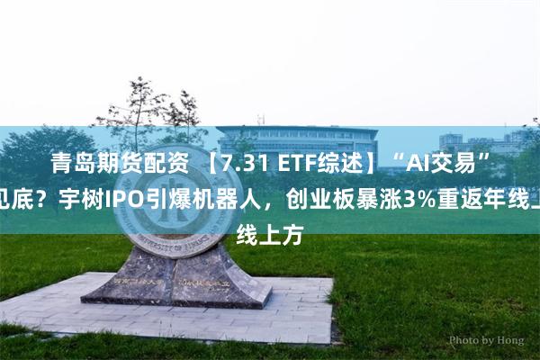 青岛期货配资 【7.31 ETF综述】“AI交易”已见底？宇树IPO引爆机器人，创业板暴涨3%重返年线上方