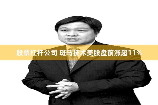 股票杠杆公司 斑马技术美股盘前涨超11%