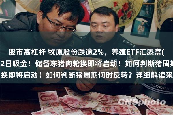 股市高杠杆 牧原股份跌逾2%，养殖ETF汇添富(159172)跌超1%，连续2日吸金！储备冻猪肉轮换即将启动！如何判断猪周期何时反转？详细解读来了