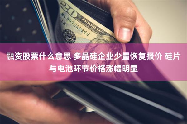 融资股票什么意思 多晶硅企业少量恢复报价 硅片与电池环节价格涨幅明显