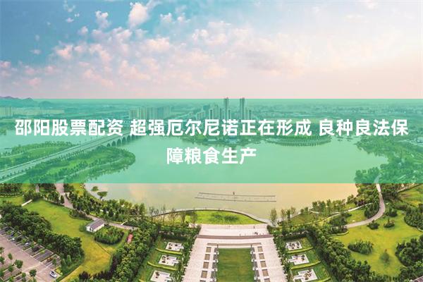 邵阳股票配资 超强厄尔尼诺正在形成 良种良法保障粮食生产