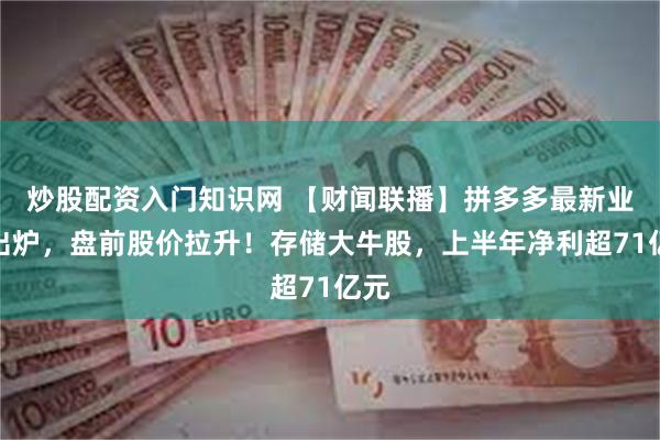 炒股配资入门知识网 【财闻联播】拼多多最新业绩出炉，盘前股价拉升！存储大牛股，上半年净利超71亿元
