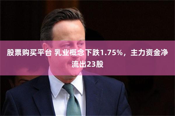 股票购买平台 乳业概念下跌1.75%,主力资金净流出23股