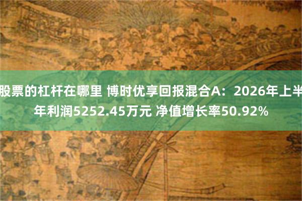 股票的杠杆在哪里 博时优享回报混合A:2026年上半年利润5252.45万元 净值增长率50.92%