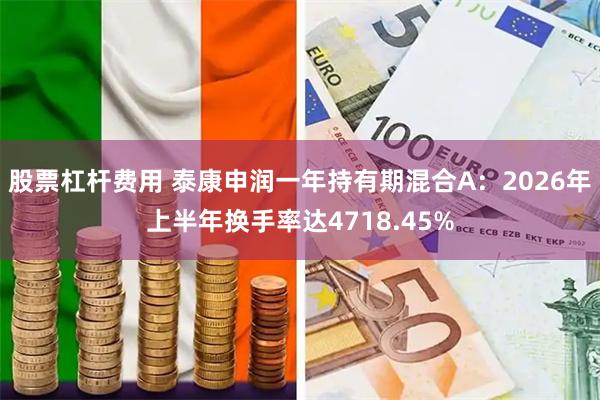 股票杠杆费用 泰康申润一年持有期混合A：2026年上半年换手率达4718.45%