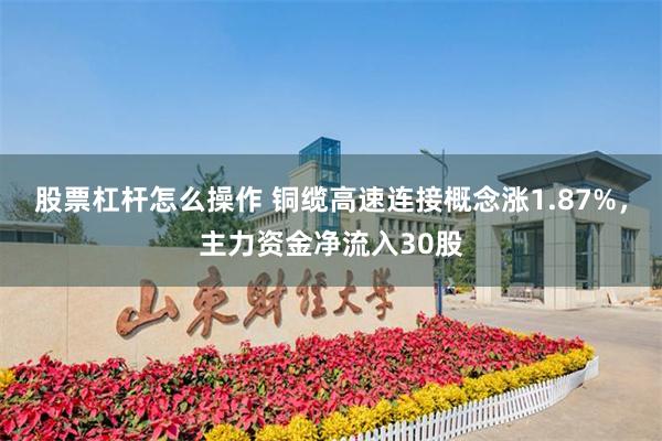 股票杠杆怎么操作 铜缆高速连接概念涨1.87%，主力资金净流入30股