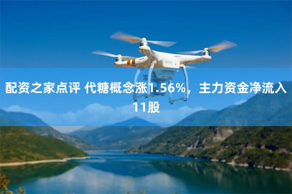 配资之家点评 代糖概念涨1.56%，主力资金净流入11股