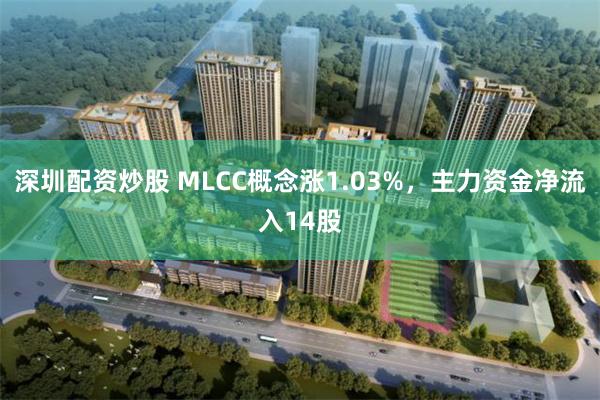 深圳配资炒股 MLCC概念涨1.03%，主力资金净流入14股