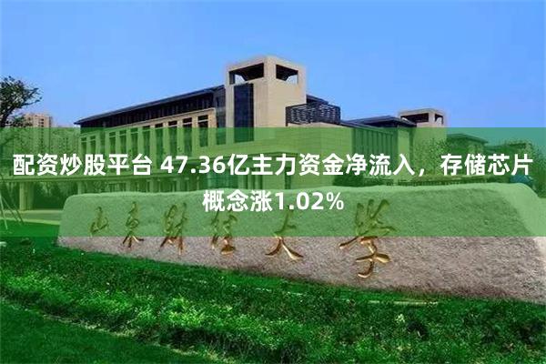 配资炒股平台 47.36亿主力资金净流入，存储芯片概念涨1.02%