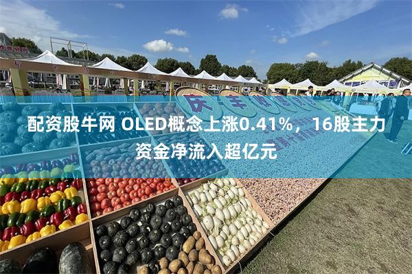 配资股牛网 OLED概念上涨0.41%，16股主力资金净流入超亿元