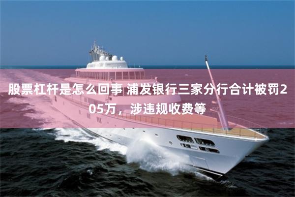股票杠杆是怎么回事 浦发银行三家分行合计被罚205万，涉违规收费等