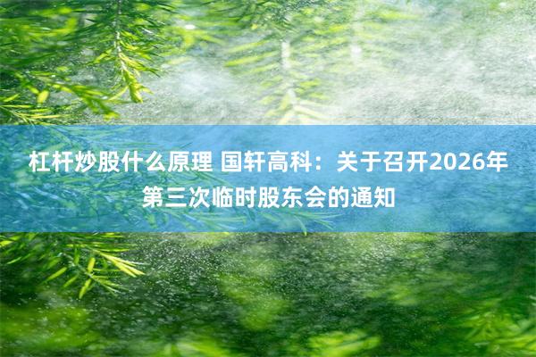 杠杆炒股什么原理 国轩高科：关于召开2026年第三次临时股东会的通知