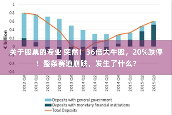 关于股票的专业 突然！36倍大牛股，20%跌停！整条赛道崩跌，发生了什么？