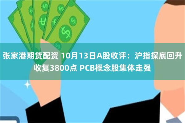 张家港期货配资 10月13日A股收评：沪指探底回升收复3800点 PCB概念股集体走强