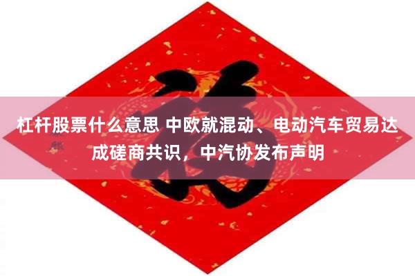 杠杆股票什么意思 中欧就混动、电动汽车贸易达成磋商共识，中汽协发布声明